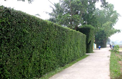 Làng khoa bảng và danh nhân nhiều đời ở Hà Tĩnh